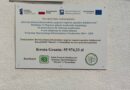 ROD ,,Złocień” w Niemodlinie zakończył prace w ramach programu ,,Rozwój zielonej infrastruktury poprzez wsparcie ogrodów działkowych”