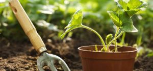 ZAPRASZAMY NA SZKOLENIE DO NYSY