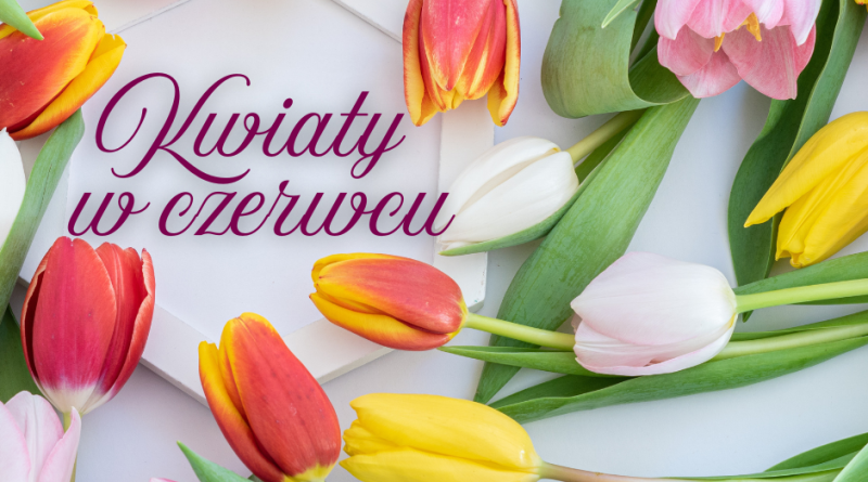 Kwiaty ozdobne w czerwcu