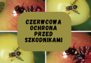 Czerwcowa ochrona przed szkodnikami