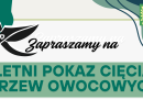 Letni pokaz cięcia drzew owocowych