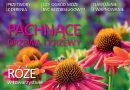 Czytajcie „Działkowca”! – 22.09.2025