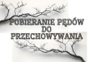 Pobieranie pędów do przechowywania