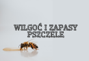 Wilgoć i zapasy pszczele Wilgoć i zapasy pszczele