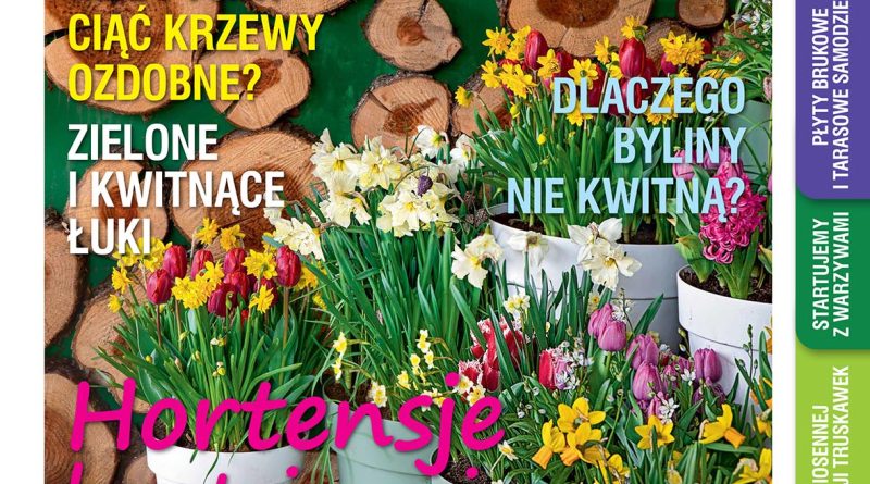 Marcowy „Mój Ogródek” – 20.02.2026