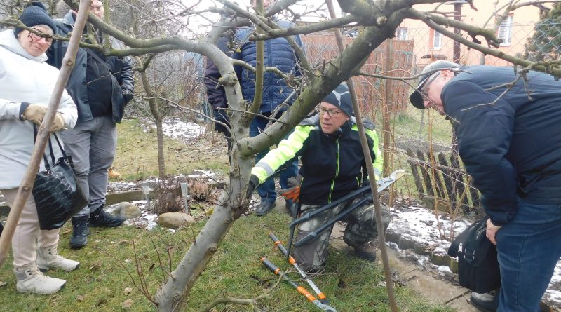 Podsumowanie szkolenia pn. „Odmładzanie drzew i krzewów” w ROD „Odra” w Opolu z dnia 20 lutego 2026 roku