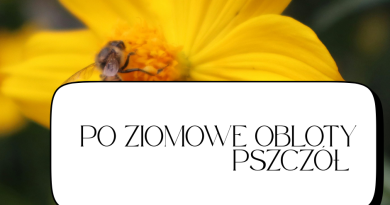 „Po zimowe obloty pszczół”