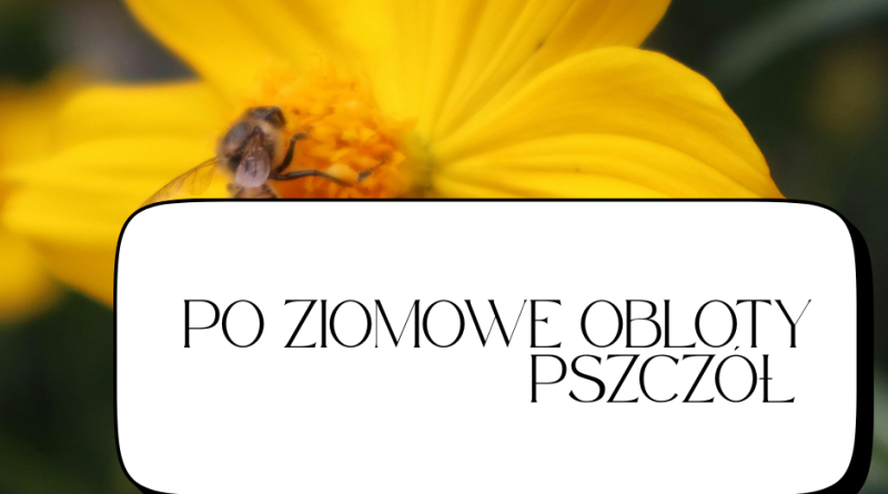 „Po zimowe obloty pszczół”
