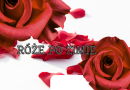 „Róże po zimie”