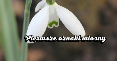 Pierwsze oznaki wiosny