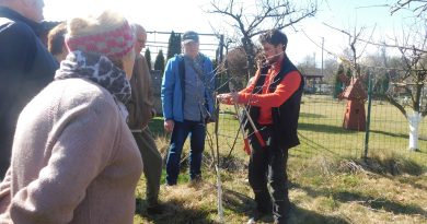 Za nami cykl marcowych szkoleń dla nowych działkowców.
