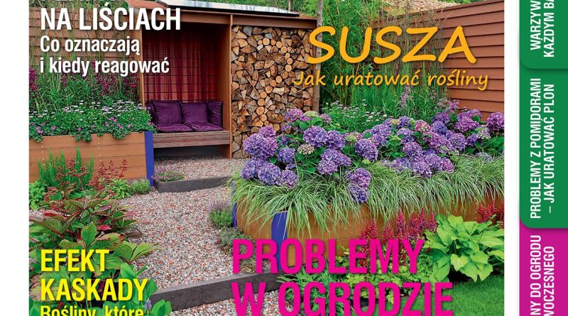 Czerwcowy „Mój Ogródek” – 20.05.2026