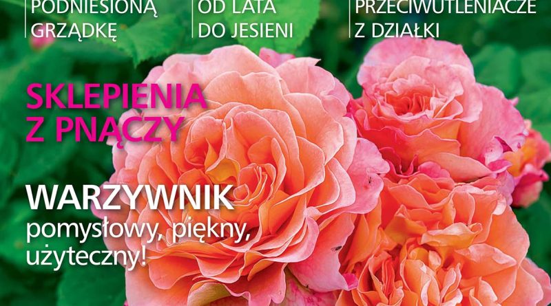 Czytajcie „Działkowca”! – 22.06.2026