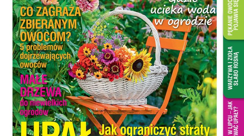 Lipcowy „Mój Ogródek” – 22.06.2026