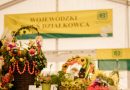 KOSZE DOŻYNKOWE PODCZAS WOJEWÓDKZIEGO DNIA DZIAŁKOWCA W NAMYSŁOWIE