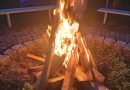 Jesienny piknik w ROD Aster – wspólnie pożegnaliśmy sezon!