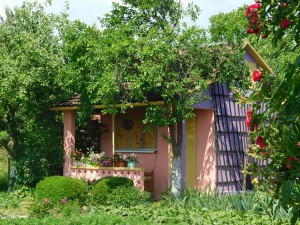 DSCN1401