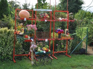 650x480-crop-90-images_djmediatools_dsc_0036.jpg.29