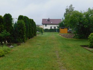 DSCN0793  