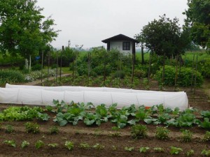 DSCN0808  