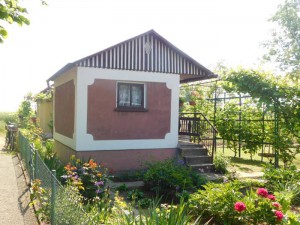 DSCN0486