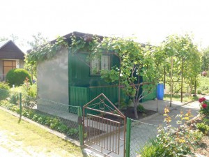 DSCN0539