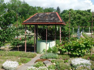 DSCN0549 