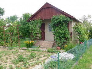 DSCN0644 
