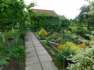 DSCN0750 