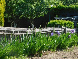 DSCN0354 