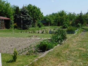 DSCN0407 