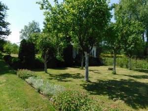 DSCN0434 