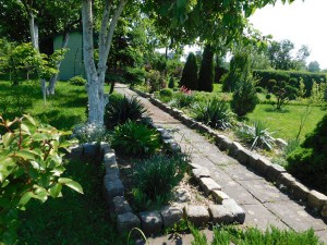 DSCN1053