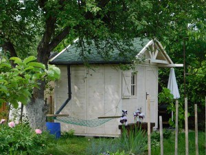 DSCN1163