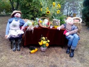 IMG_20160917_150854 (1) 