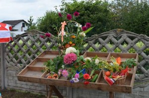 dozynki ROD_2016_034 