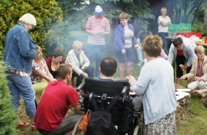 działki promyczek (26) 