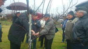 Szkolenie Instruktorów SSI - 23.02.2016 r. NYSA  