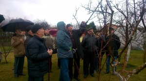 Szkolenie Instruktorów SSI - 23.02.2016 r. NYSA  